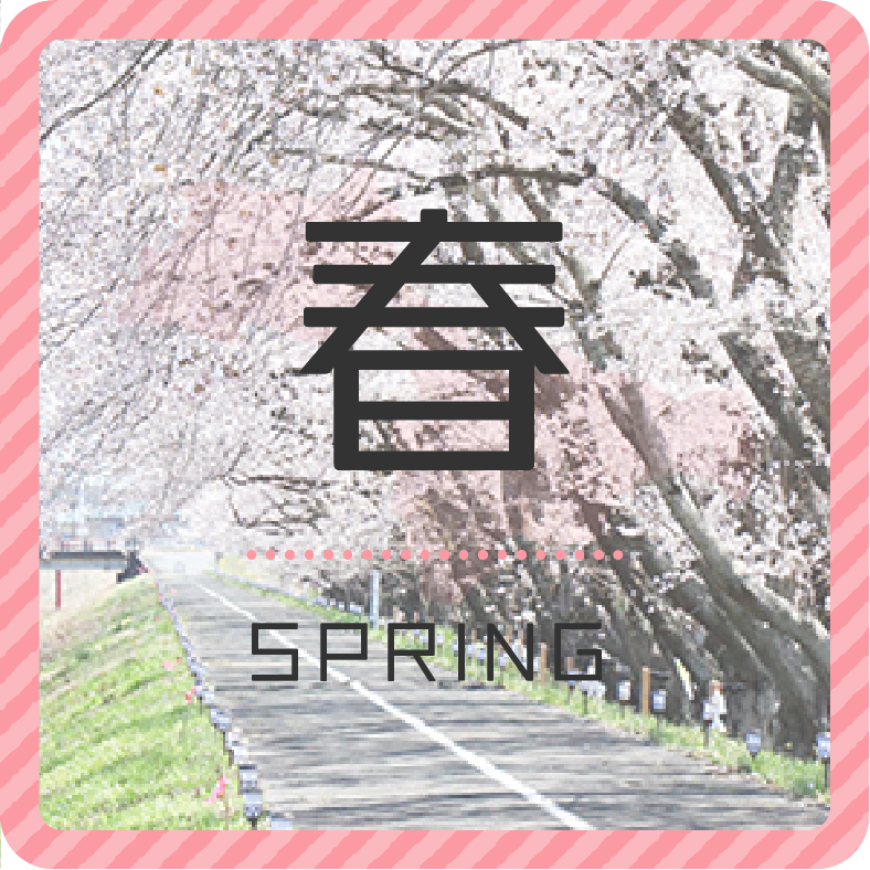 春の写真